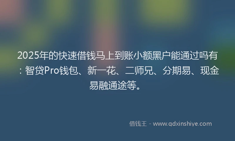 2025年的快速借钱马上到账小额黑户能通过吗有：智贷Pro钱包、新一花、二师兄、分期易、现金易融通途等。