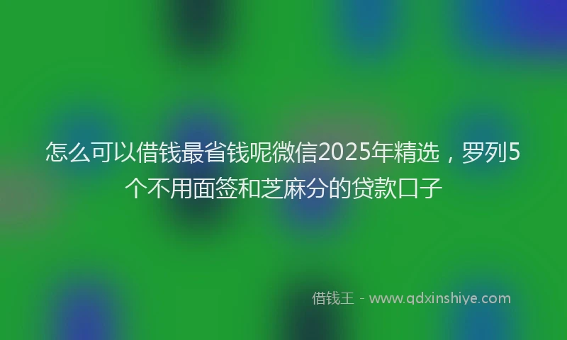怎么可以借钱最省钱呢微信2025年精选，罗列5个不用面签和芝麻分的贷款口子