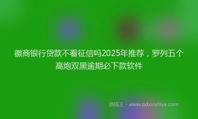 徽商银行贷款不看征信吗2025年推荐，罗列五个高炮双黑逾期必下款软件