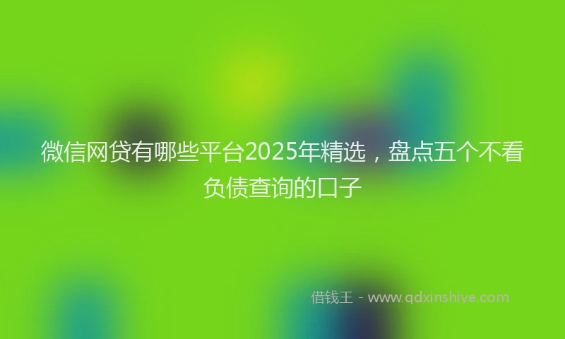 微信网贷有哪些平台2025年精选，盘点五个不看负债查询的口子