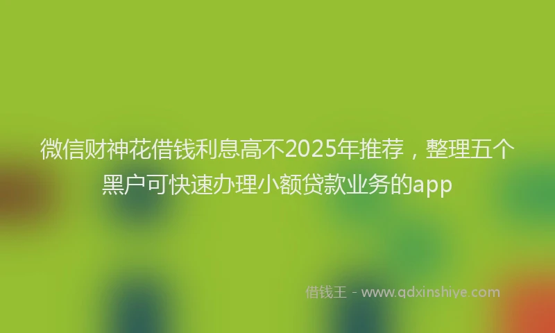 微信财神花借钱利息高不2025年推荐，整理五个黑户可快速办理小额贷款业务的app