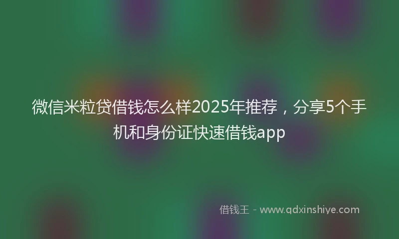 微信米粒贷借钱怎么样2025年推荐，分享5个手机和身份证快速借钱app
