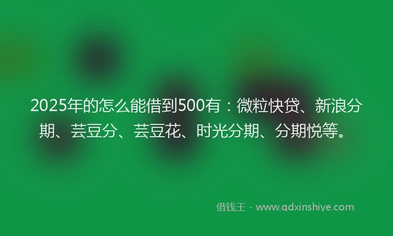 2025年的怎么能借到500有：微粒快贷、新浪分期、芸豆分、芸豆花、时光分期、分期悦等。