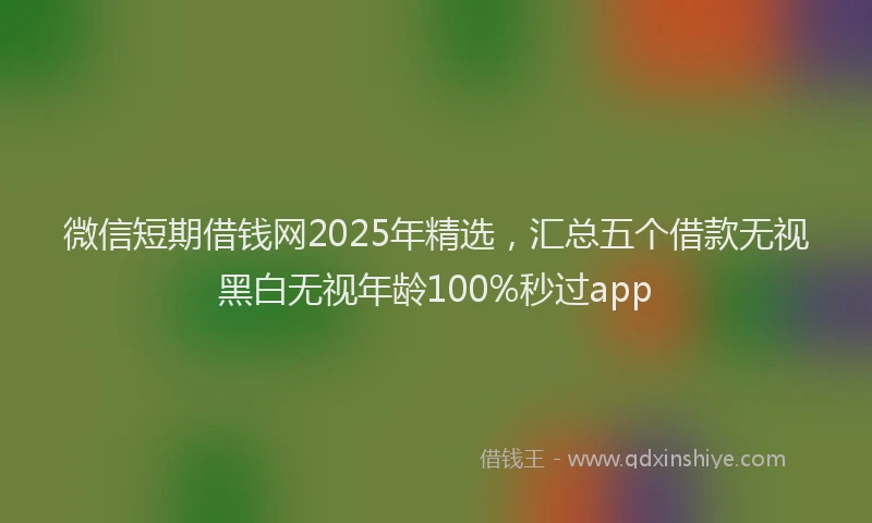 微信短期借钱网2025年精选，汇总五个借款无视黑白无视年龄100%秒过app