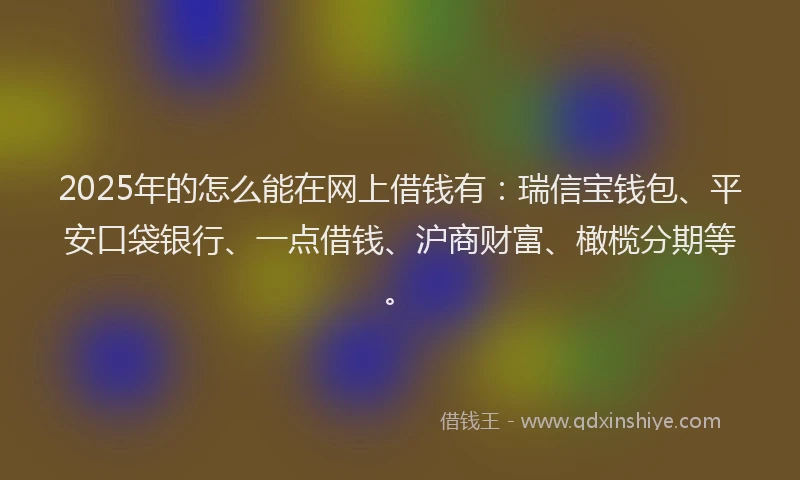 2025年的怎么能在网上借钱有：瑞信宝钱包、平安口袋银行、一点借钱、沪商财富、橄榄分期等。