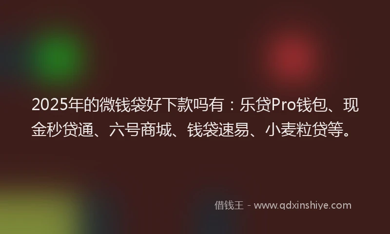 2025年的微钱袋好下款吗有：乐贷Pro钱包、现金秒贷通、六号商城、钱袋速易、小麦粒贷等。