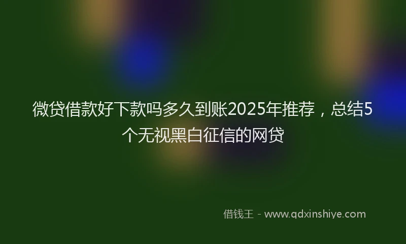 微贷借款好下款吗多久到账2025年推荐，总结5个无视黑白征信的网贷