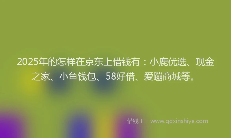 2025年的怎样在京东上借钱有：小鹿优选、现金之家、小鱼钱包、58好借、爱蹦商城等。