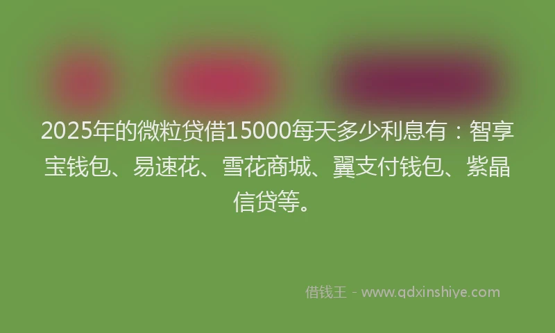 2025年的微粒贷借15000每天多少利息有：智享宝钱包、易速花、雪花商城、翼支付钱包、紫晶信贷等。