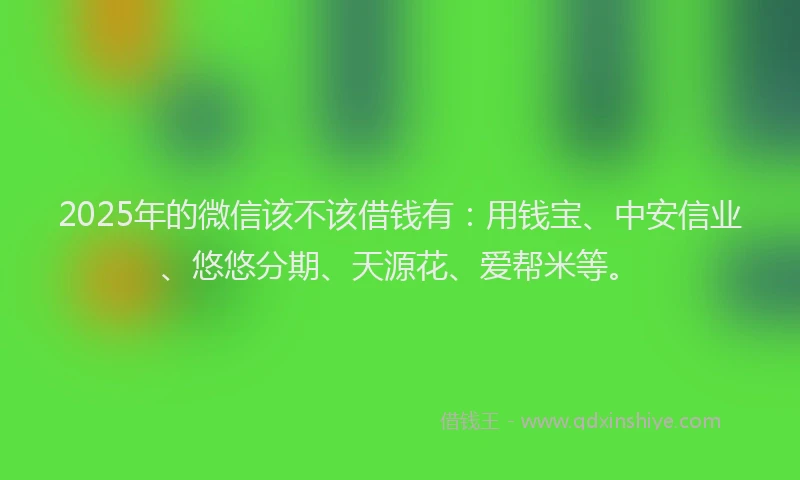 2025年的微信该不该借钱有：用钱宝、中安信业、悠悠分期、天源花、爱帮米等。