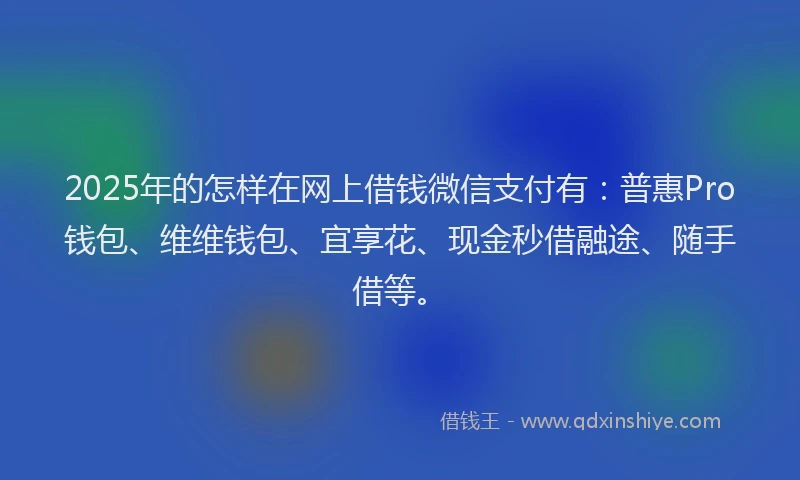 2025年的怎样在网上借钱微信支付有：普惠Pro钱包、维维钱包、宜享花、现金秒借融途、随手借等。