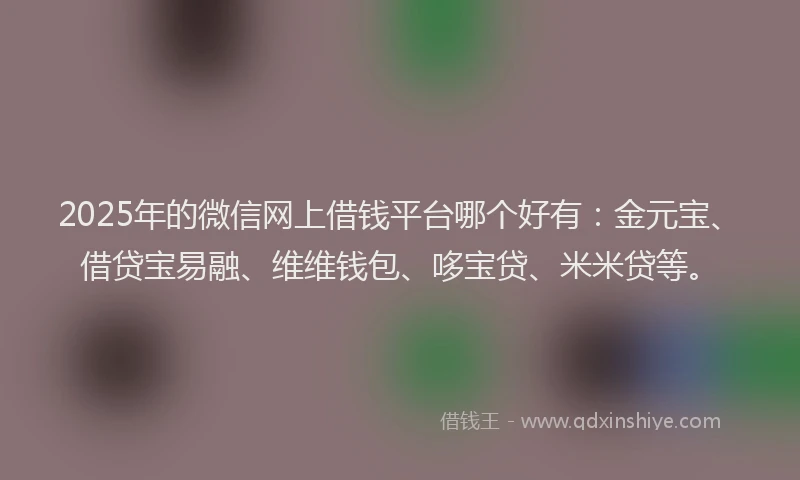 2025年的微信网上借钱平台哪个好有：金元宝、借贷宝易融、维维钱包、哆宝贷、米米贷等。