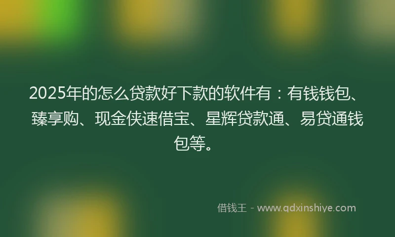 2025年的怎么贷款好下款的软件有：有钱钱包、臻享购、现金侠速借宝、星辉贷款通、易贷通钱包等。