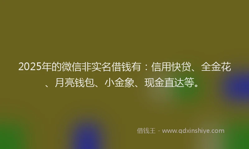 2025年的微信非实名借钱有：信用快贷、全金花、月亮钱包、小金象、现金直达等。