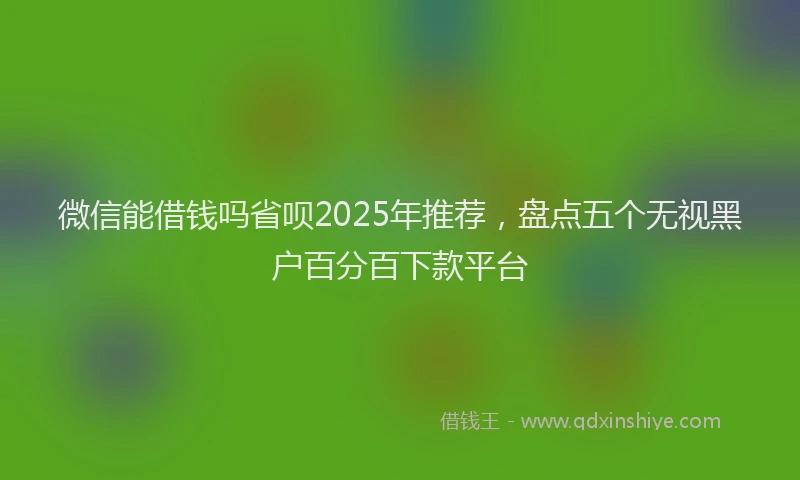 微信能借钱吗省呗2025年推荐，盘点五个无视黑户百分百下款平台