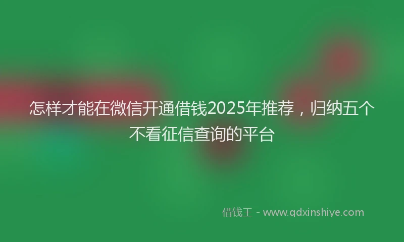 怎样才能在微信开通借钱2025年推荐，归纳五个不看征信查询的平台