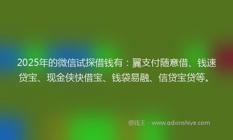 2025年的微信试探借钱有：翼支付随意借、钱速贷宝、现金侠快借宝、钱袋易融、信贷宝贷等。