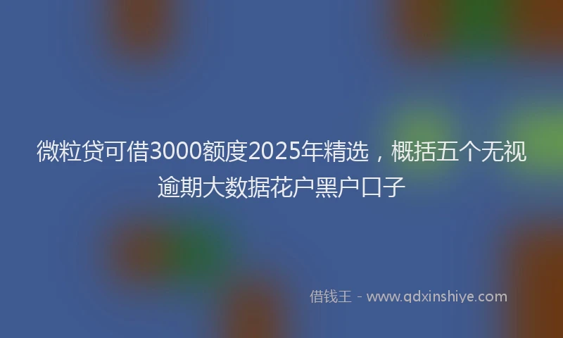 微粒贷可借3000额度2025年精选，概括五个无视逾期大数据花户黑户口子