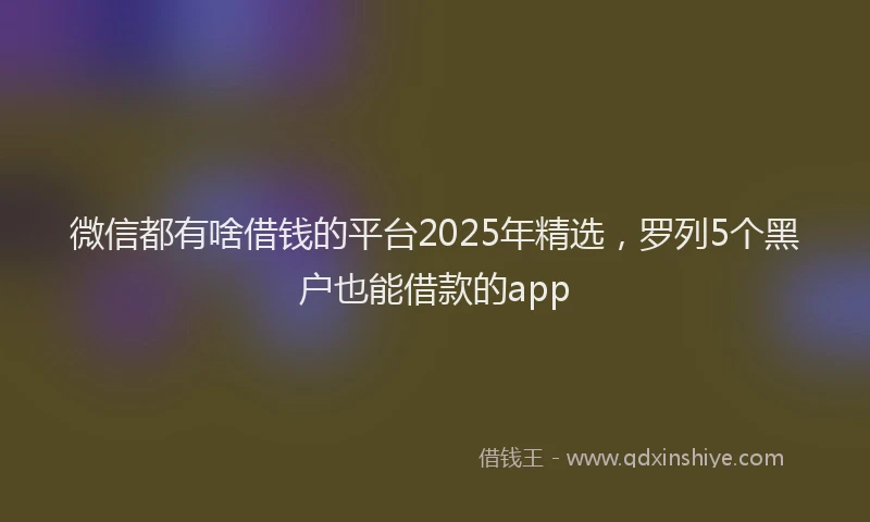 微信都有啥借钱的平台2025年精选，罗列5个黑户也能借款的app
