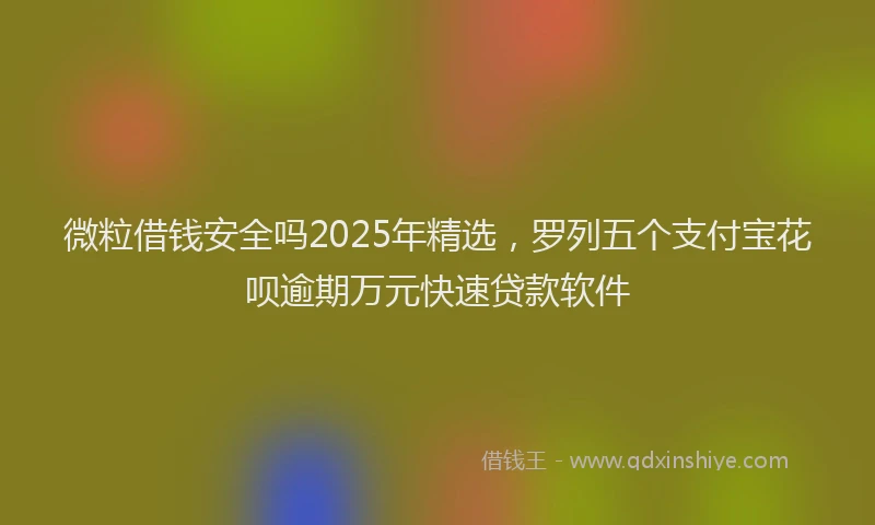 微粒借钱安全吗2025年精选，罗列五个支付宝花呗逾期万元快速贷款软件