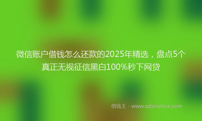 微信账户借钱怎么还款的2025年精选，盘点5个真正无视征信黑白100%秒下网贷