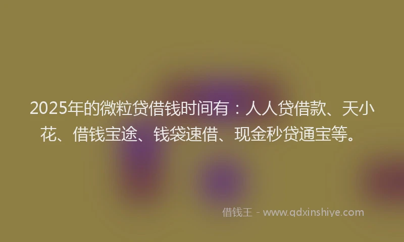 2025年的微粒贷借钱时间有：人人贷借款、天小花、借钱宝途、钱袋速借、现金秒贷通宝等。