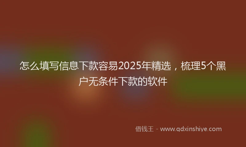 怎么填写信息下款容易2025年精选，梳理5个黑户无条件下款的软件