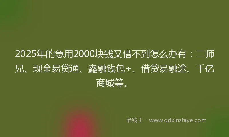 2025年的急用2000块钱又借不到怎么办有：二师兄、现金易贷通、鑫融钱包+、借贷易融途、千亿商城等。