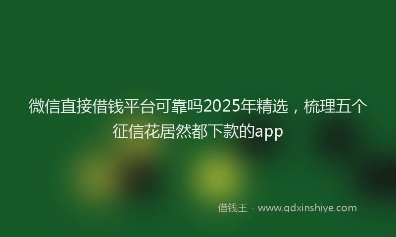 微信直接借钱平台可靠吗2025年精选，梳理五个征信花居然都下款的app
