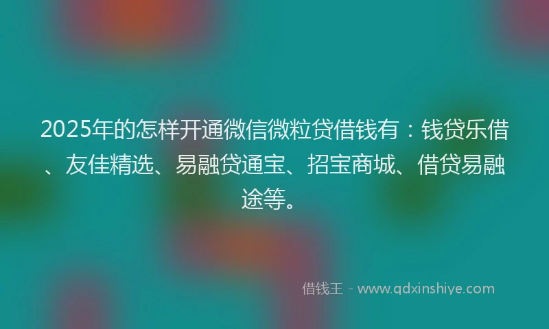 2025年的怎样开通微信微粒贷借钱有：钱贷乐借、友佳精选、易融贷通宝、招宝商城、借贷易融途等。