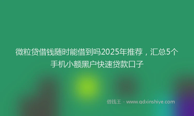 微粒贷借钱随时能借到吗2025年推荐，汇总5个手机小额黑户快速贷款口子