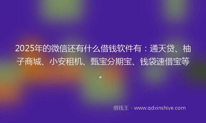 2025年的微信还有什么借钱软件有：通天贷、柚子商城、小安租机、甄宝分期宝、钱袋速借宝等。