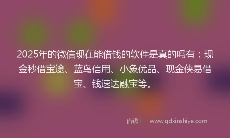 2025年的微信现在能借钱的软件是真的吗有：现金秒借宝途、蓝鸟信用、小象优品、现金侠易借宝、钱速达融宝等。