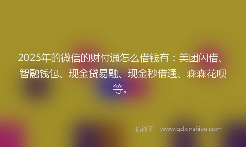 2025年的微信的财付通怎么借钱有：美团闪借、智融钱包、现金贷易融、现金秒借通、森森花呗等。