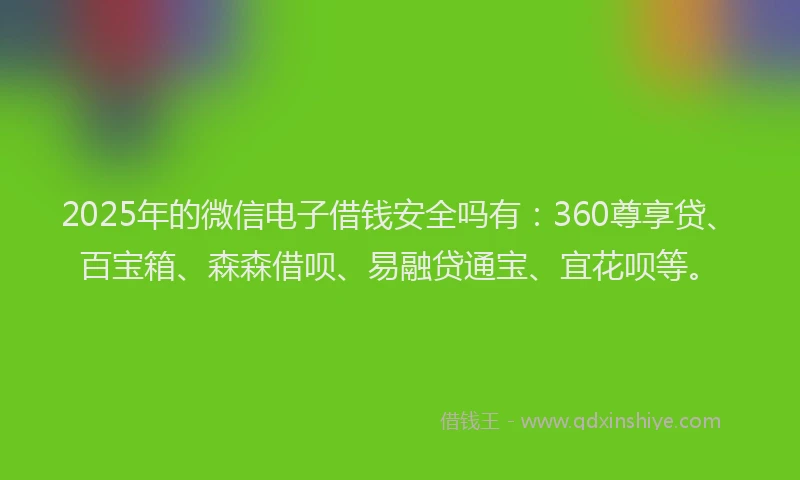 2025年的微信电子借钱安全吗有：360尊享贷、百宝箱、森森借呗、易融贷通宝、宜花呗等。
