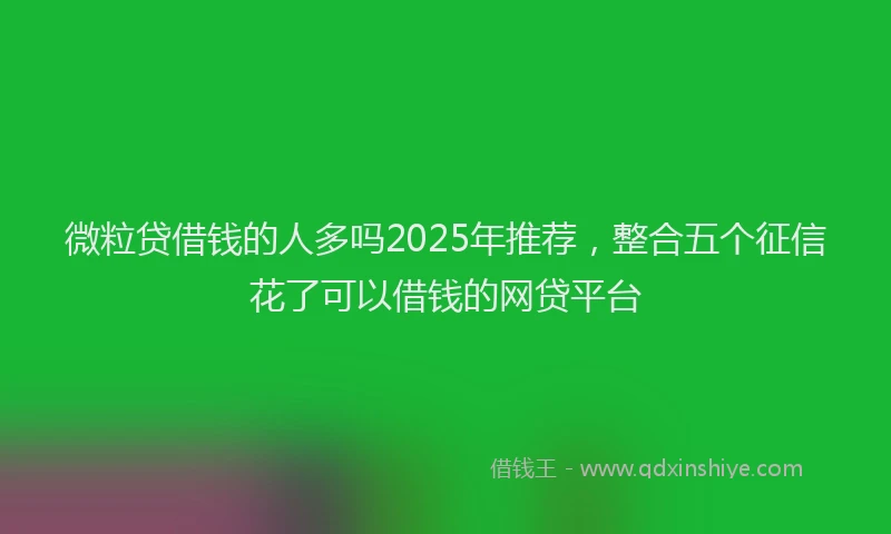 微粒贷借钱的人多吗2025年推荐，整合五个征信花了可以借钱的网贷平台