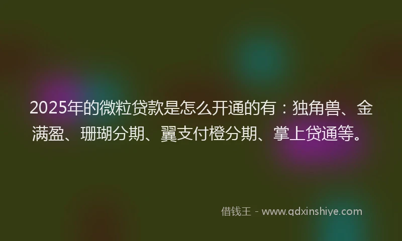 2025年的微粒贷款是怎么开通的有：独角兽、金满盈、珊瑚分期、翼支付橙分期、掌上贷通等。