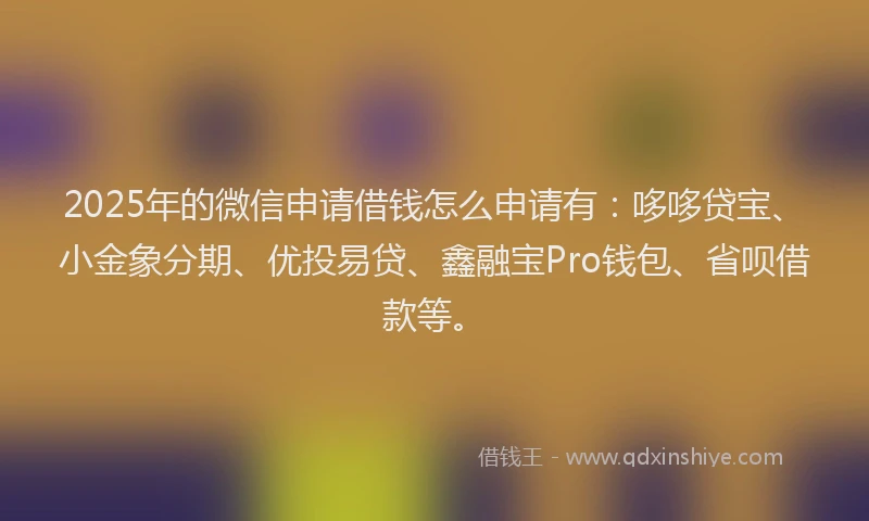 2025年的微信申请借钱怎么申请有：哆哆贷宝、小金象分期、优投易贷、鑫融宝Pro钱包、省呗借款等。