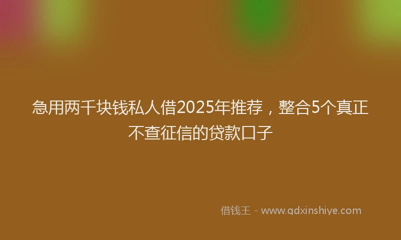 急用两千块钱私人借2025年推荐，整合5个真正不查征信的贷款口子