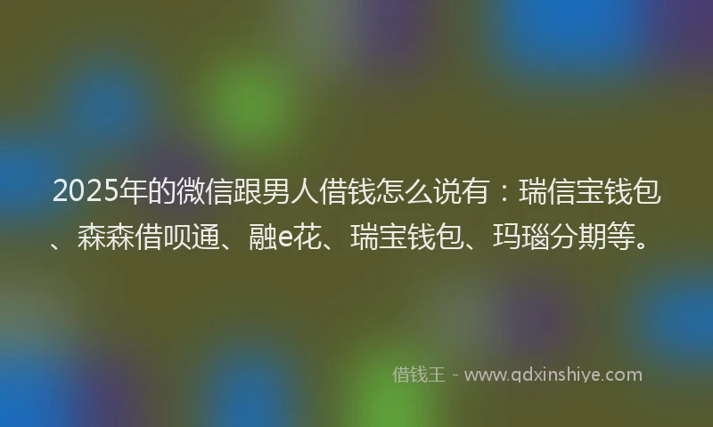 2025年的微信跟男人借钱怎么说有：瑞信宝钱包、森森借呗通、融e花、瑞宝钱包、玛瑙分期等。