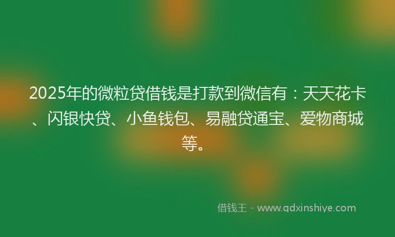 2025年的微粒贷借钱是打款到微信有：天天花卡、闪银快贷、小鱼钱包、易融贷通宝、爱物商城等。