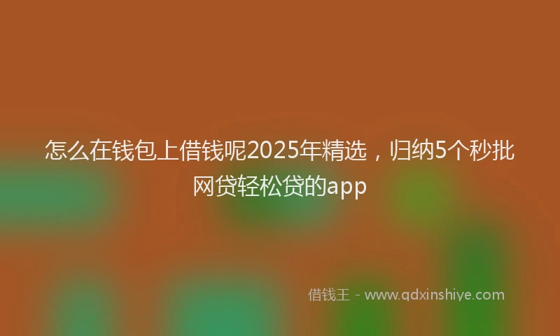怎么在钱包上借钱呢2025年精选，归纳5个秒批网贷轻松贷的app
