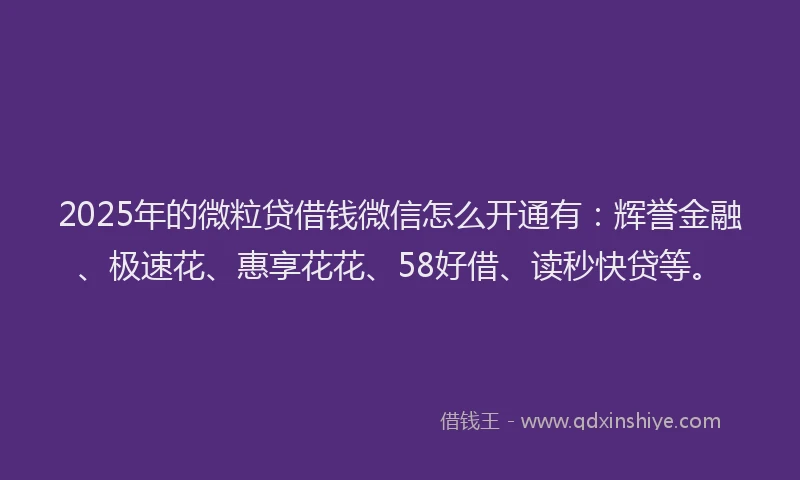 2025年的微粒贷借钱微信怎么开通有：辉誉金融、极速花、惠享花花、58好借、读秒快贷等。