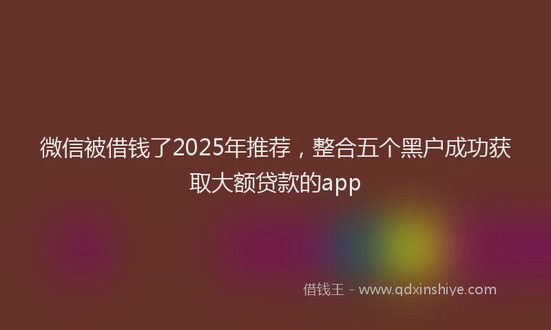 微信被借钱了2025年推荐，整合五个黑户成功获取大额贷款的app