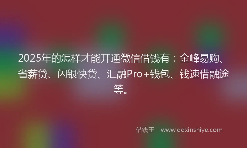 2025年的怎样才能开通微信借钱有：金峰易购、省薪贷、闪银快贷、汇融Pro+钱包、钱速借融途等。