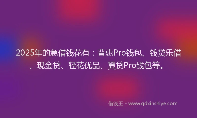 2025年的急借钱花有：普惠Pro钱包、钱贷乐借、现金贷、轻花优品、翼贷Pro钱包等。