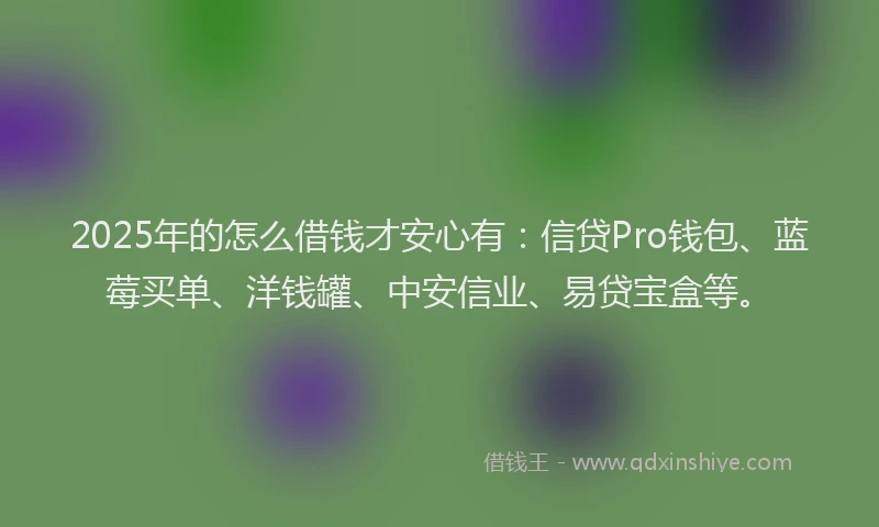 2025年的怎么借钱才安心有：信贷Pro钱包、蓝莓买单、洋钱罐、中安信业、易贷宝盒等。
