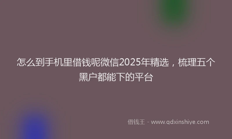 怎么到手机里借钱呢微信2025年精选，梳理五个黑户都能下的平台
