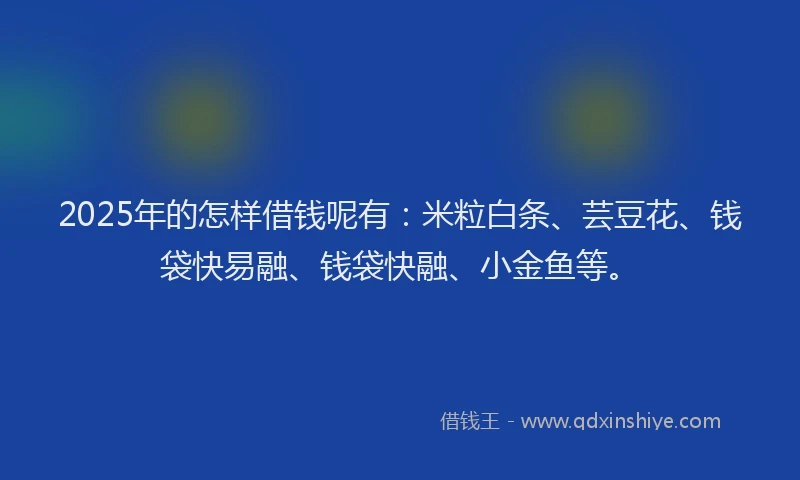 2025年的怎样借钱呢有：米粒白条、芸豆花、钱袋快易融、钱袋快融、小金鱼等。