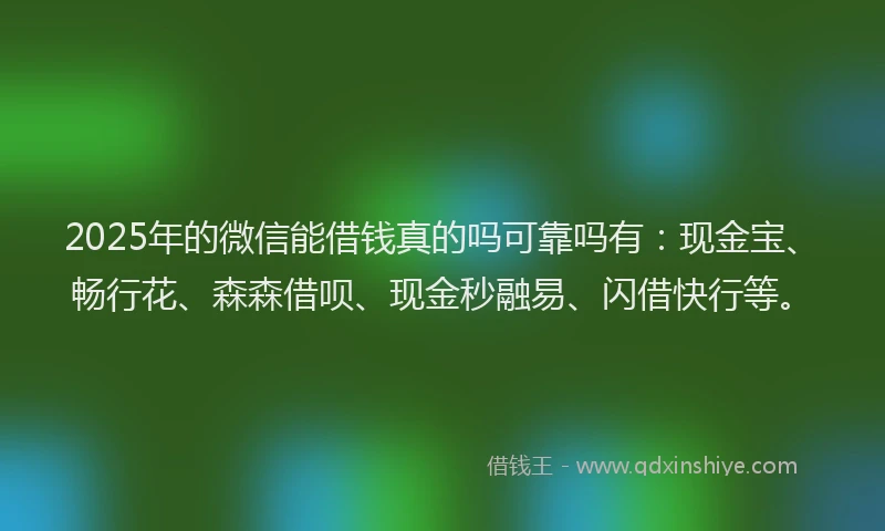 2025年的微信能借钱真的吗可靠吗有：现金宝、畅行花、森森借呗、现金秒融易、闪借快行等。